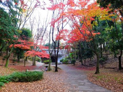 ささぶねの道（御影橋）
