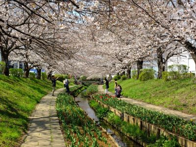 江川せせらぎ緑道
