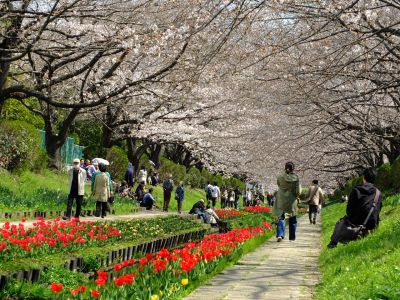 江川せせらぎ緑道
