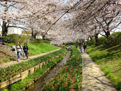 江川せせらぎ緑道
