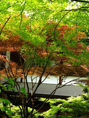 心行寺（浄土宗）
