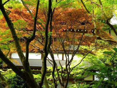 心行寺（浄土宗）
