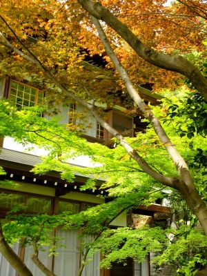 心行寺（浄土宗）
