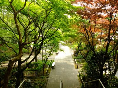 心行寺（浄土宗）
