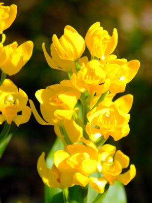 都筑中央公園（金ラン）
