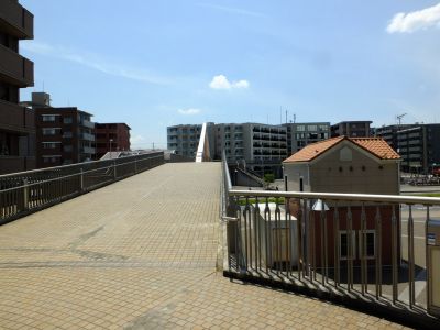 横浜国際プールのつつじ
