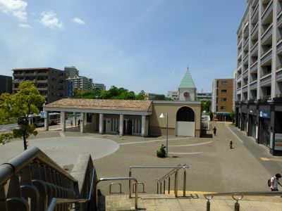 横浜国際プールのつつじ
