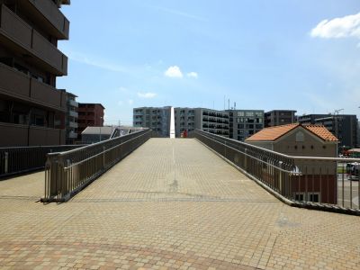 横浜国際プールのつつじ
