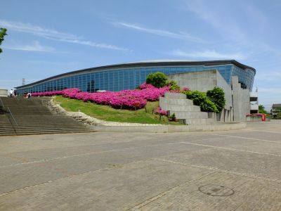 横浜国際プールのつつじ
