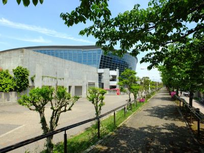 横浜国際プールのつつじ
