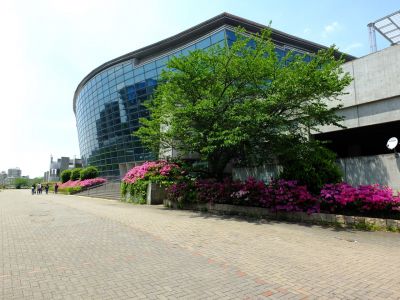 横浜国際プールのつつじ
