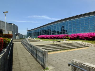 横浜国際プールのつつじ
