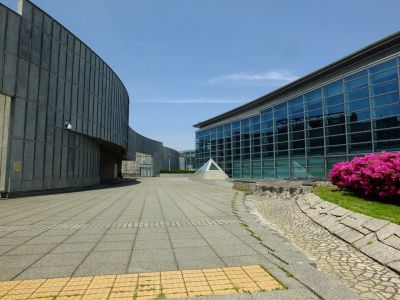 横浜国際プールのつつじ
