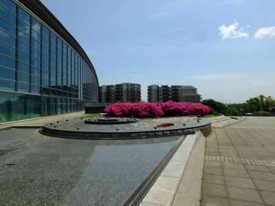 横浜国際プールのつつじ
