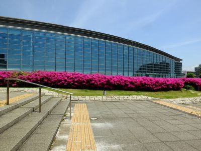 横浜国際プールのつつじ
