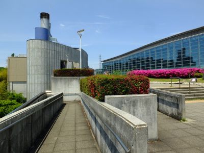 横浜国際プールのつつじ
