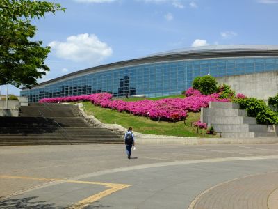 横浜国際プールのつつじ
