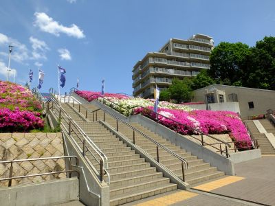 横浜国際プールのつつじ
