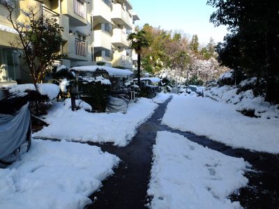 みずきが丘　誰か雪かきをしてくれた人がいて一筋の道が出来ていました。これで滑らず歩きやすい道になりました。感謝感謝。朝早くからやっていただいたみたい。
