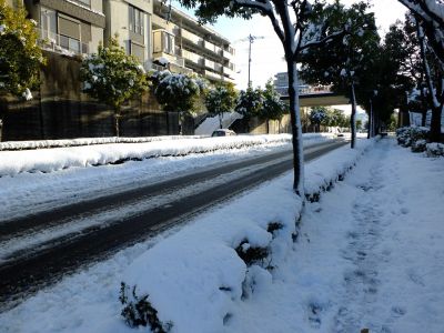 みずきが丘バス停付近
