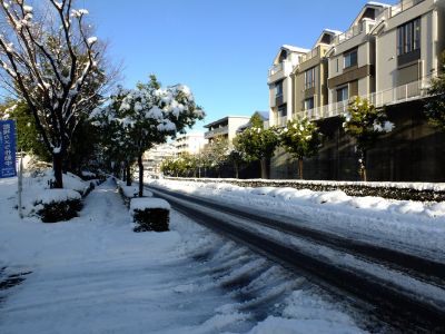 みずきが丘バス停付近
