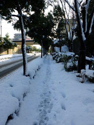 みずきが丘バス停付近
