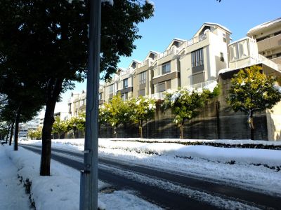 みずきが丘バス停付近
