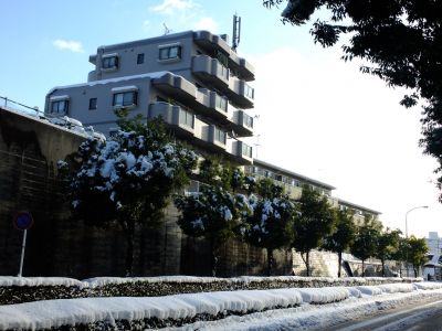 みずきが丘バス停付近
