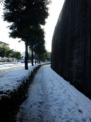 みずきが丘バス停付近
