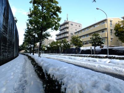 みずきが丘バス停付近

