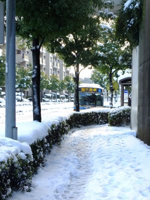 みずきが丘バス停付近
