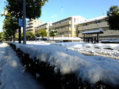 みずきが丘バス停付近
