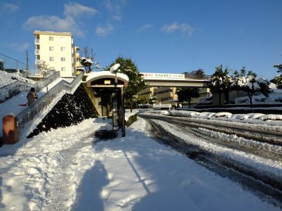 みずきが丘バス停付近
