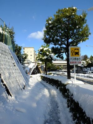 みずきが丘バス停付近
