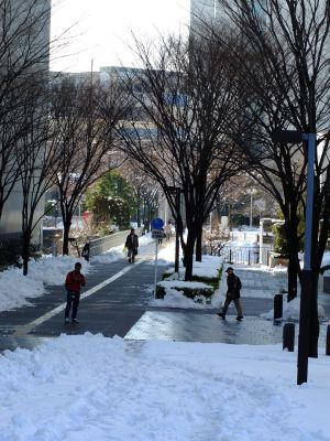 昭和大学北部病院
