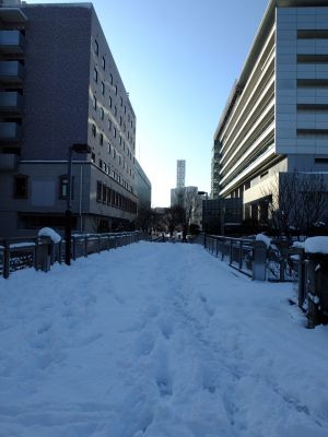 昭和大学北部病院
