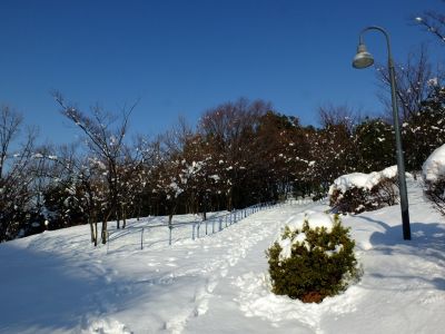 都筑中央公園
