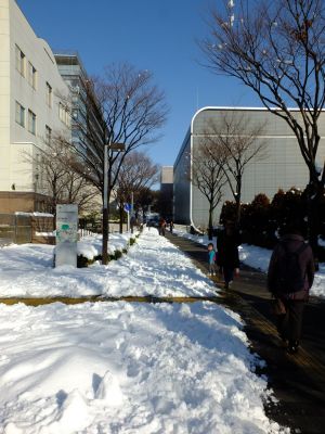 昭和大学北部病院
