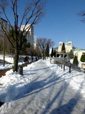 センター南駅前
