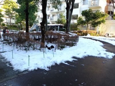 みずきが丘　15;00頃
