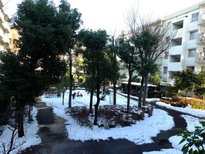 みずきが丘　15;00頃
