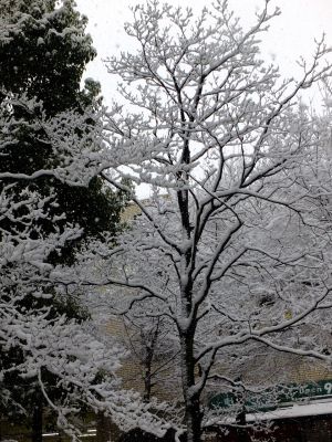 荏田近隣センター
