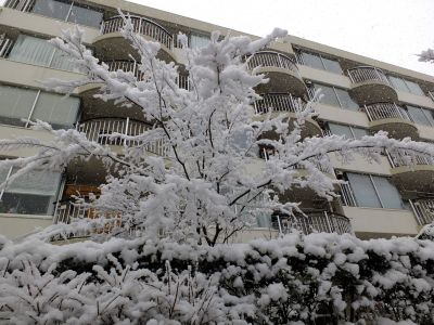荏田近隣センター
