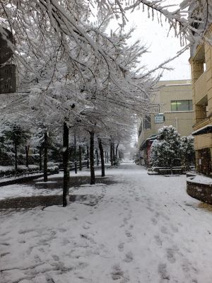 荏田近隣センター
