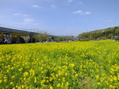 川和町駅前

