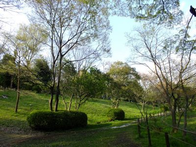 鴨池公園
