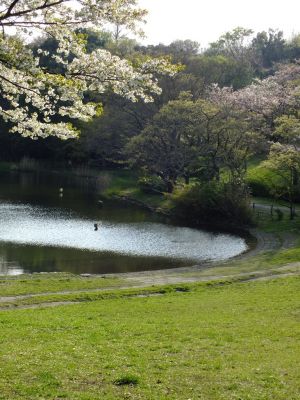 鴨池公園
