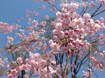 荏田近隣センター
