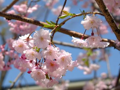 荏田近隣センター
