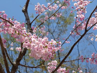 荏田近隣センター
